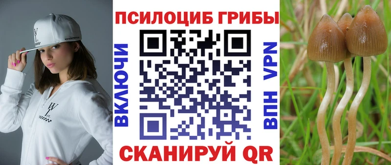 Галлюциногенные грибы GOLDEN TEACHER  Велиж 